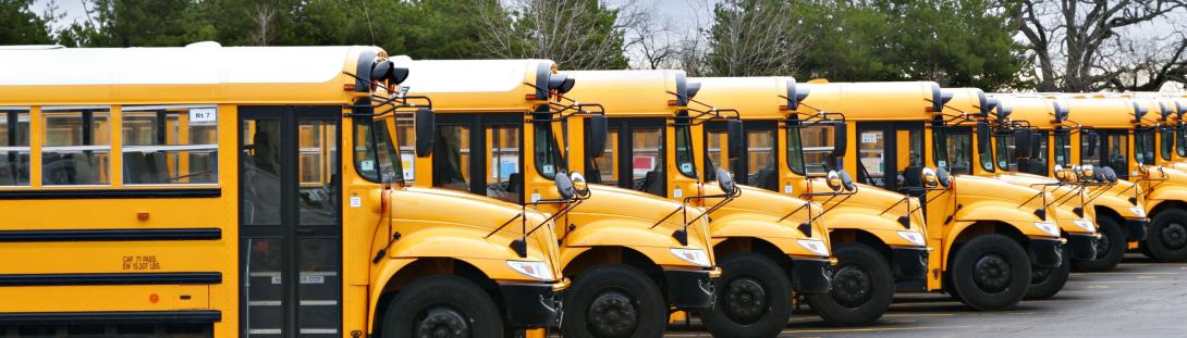 Row of parked school buses