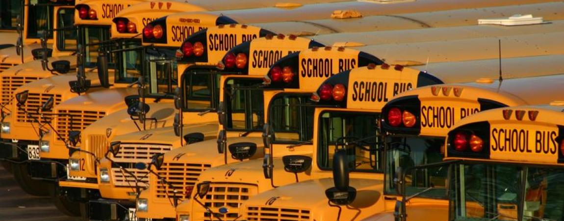 Angled Row of School Buses